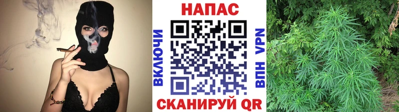 Бошки марихуана ГИДРОПОН  как найти закладки  Семикаракорск 